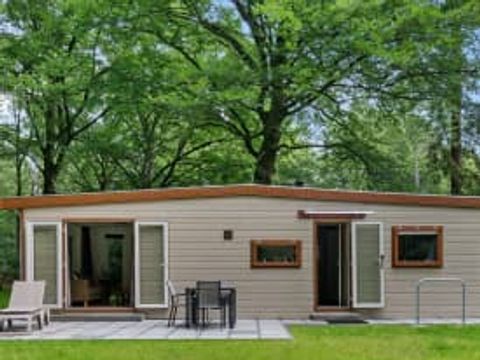 RCN Vakantiepark het Grote Bos - Utrechtse Heuvelrug - Afbeelding N°5