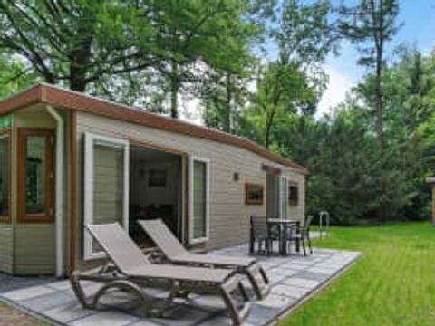 RCN Vakantiepark het Grote Bos - Utrechtse Heuvelrug - Afbeelding N°4