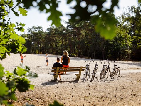RCN Vakantiepark het Grote Bos - Utrechtse Heuvelrug