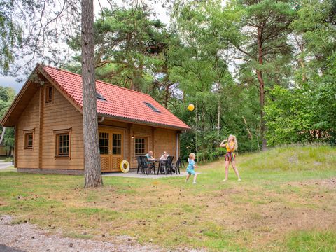 RCN Vakantiepark het Grote Bos - Utrechtse Heuvelrug - Afbeelding N°32