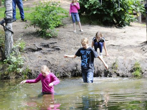 RCN Vakantiepark het Grote Bos - Utrechtse Heuvelrug - Afbeelding N°17
