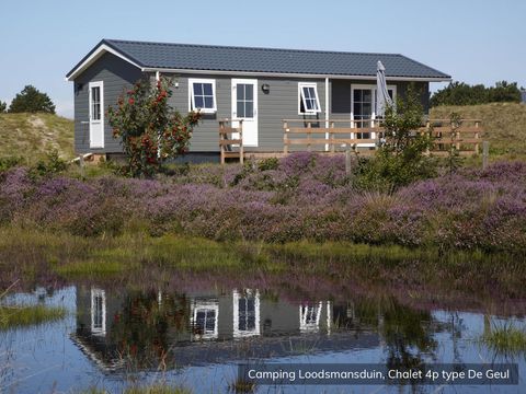 Texelcamping Loodsmansduin - Camping Texel - Afbeelding N°5