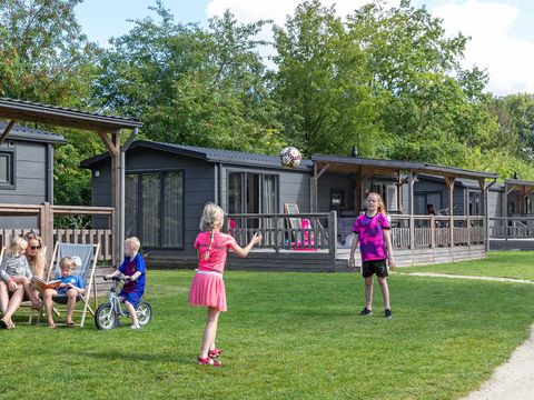 Molecaten Park 't Hout - Opsterland - Afbeelding N°25