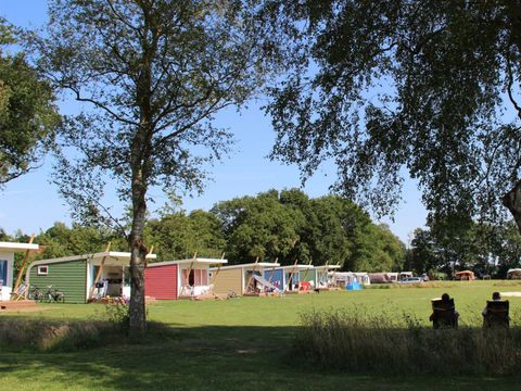 Molecaten Park 't Hout - Opsterland - Afbeelding N°8