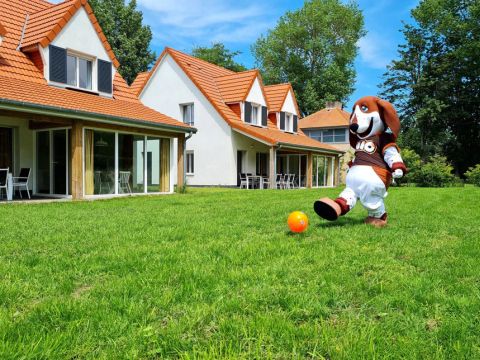 Dormio Resort Berck-sur-Mer - Pas-de-Calais - Afbeelding N°11
