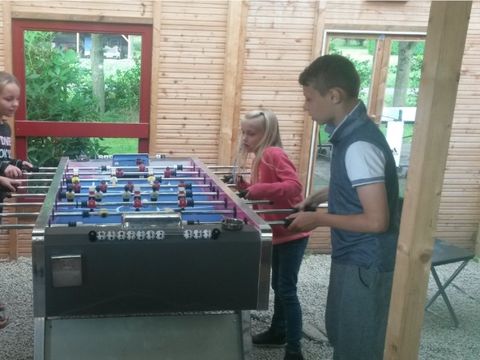Ferienpark Eifellux - Camping Rijnland-Palts - Afbeelding N°2