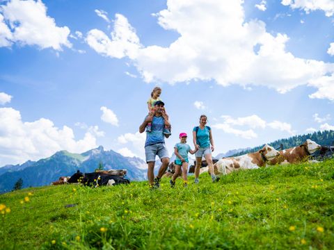 Landal Alpen Chalets Bad Kleinkirchheim - Karinthië