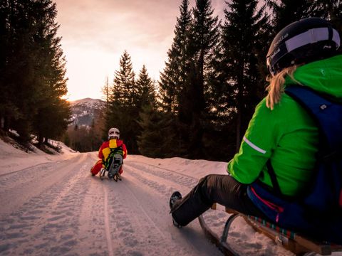 Landal Alpen Chalets Bad Kleinkirchheim - Karinthië