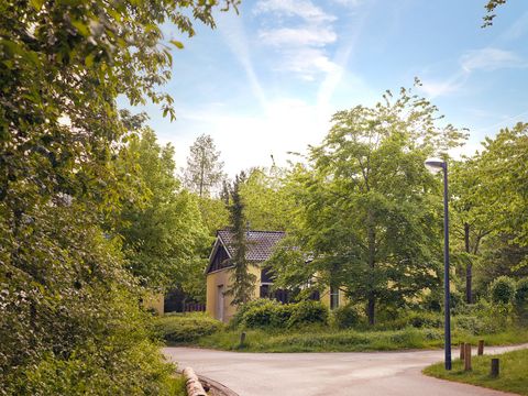 Center Parcs Park Hochsauerland - Noordrijn-Westfalen - Afbeelding N°52