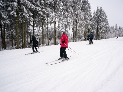 Center Parcs Park Hochsauerland - Noordrijn-Westfalen - Afbeelding N°58