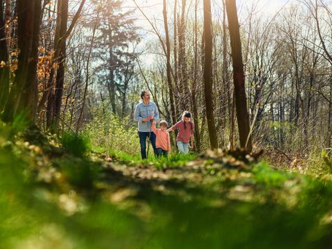 Center Parcs Park Hochsauerland - Noordrijn-Westfalen - Afbeelding N°4