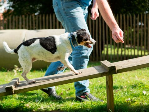 Landal Dwergter Sand - Nedersaksen