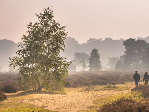 Park Berkenrhode - Ede - Afbeelding N°2