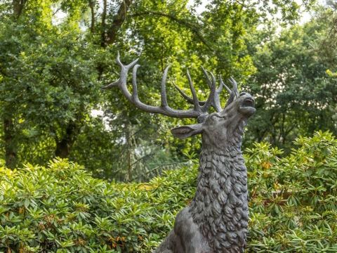 Park Berkenrhode - Ede - Afbeelding N°32