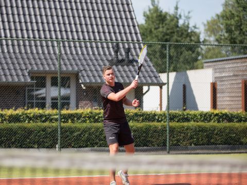 Hof van Salland - Hellendoorn - Afbeelding N°15