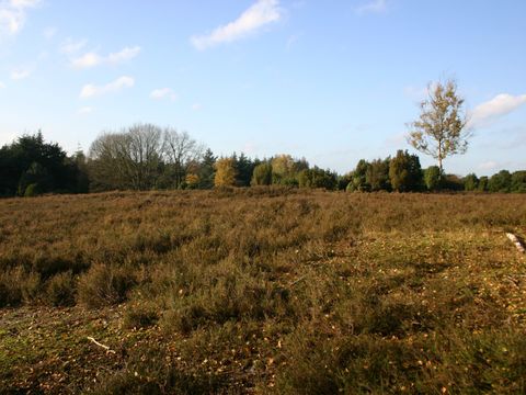 Hof van Salland - Hellendoorn - Afbeelding N°18