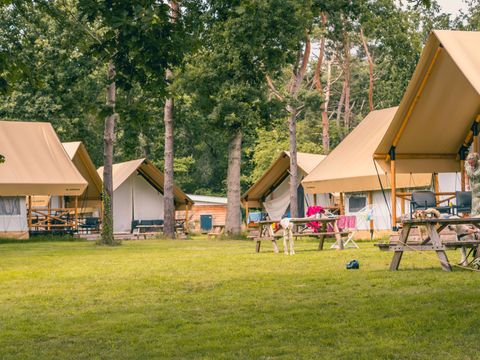 EuroParcs Reestervallei - Staphorst - Afbeelding N°23