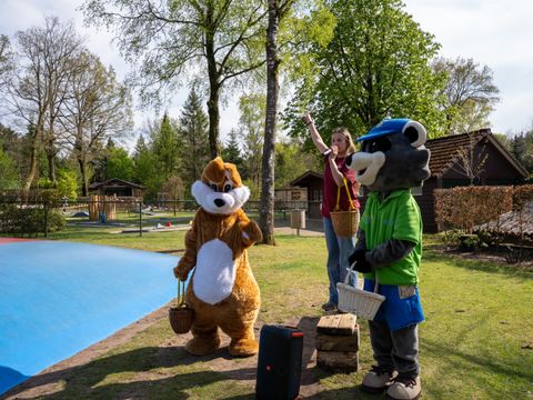 Recreatiepark De Paalberg - Ermelo - Afbeelding N°22