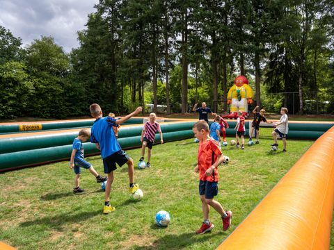 Recreatiepark De Paalberg - Ermelo - Afbeelding N°14
