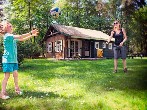 Park Molenheide - Camping Belgisch Limburg - Afbeelding N°0
