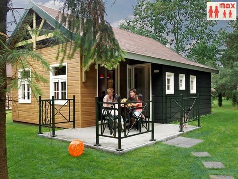 Park Molenheide - Camping Belgisch Limburg