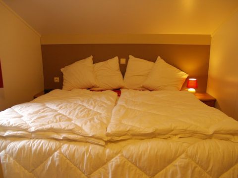 Park Molenheide - Camping Belgisch Limburg - Afbeelding N°4