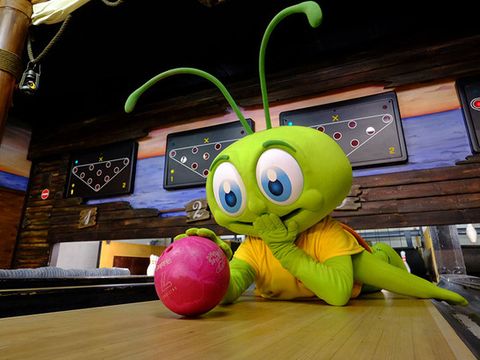 Park Molenheide - Belgisch Limburg