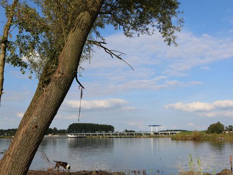 EuroParcs Bad Hulckesteijn - Nijkerk - Afbeelding N°30