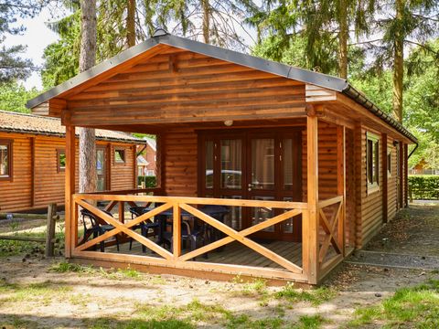 Landal Mooi Zutendaal - Belgisch Limburg - Afbeelding N°5