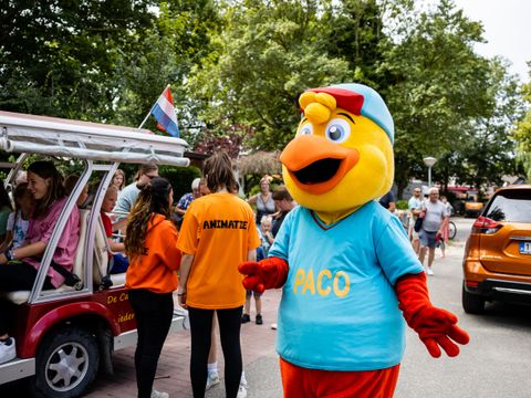 Recreatiecentrum de Vogel - Hulst - Afbeelding N°3