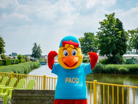 Recreatiecentrum de Vogel - Hulst