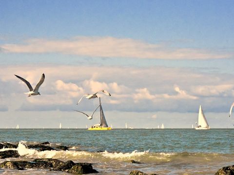 Holiday Suites Westende - West-Vlaanderen - Afbeelding N°12