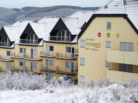 Gemünder Ferienpark Salzberg - Rijnland-Palts - Afbeelding N°25