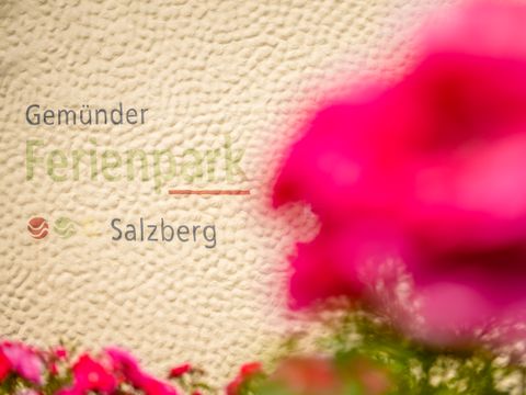 Gemünder Ferienpark Salzberg - Rijnland-Palts - Afbeelding N°28