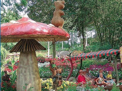 Landal Hansa Park - Sleeswijk-Holstein - Afbeelding N°17