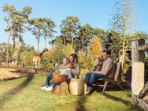 Safari Resort Beekse Bergen - Hilvarenbeek - Afbeelding N°2