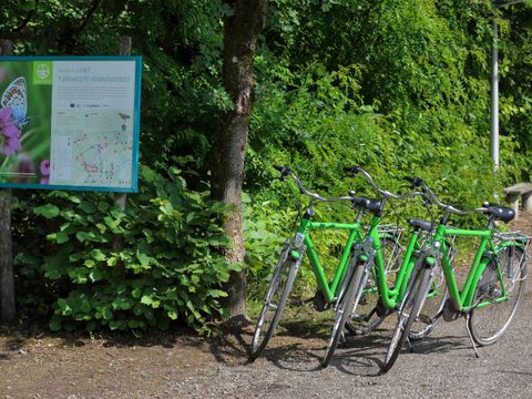 Camping Baalse Hei - Antwerpen