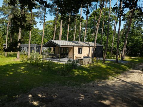 Bospark Markelo - Hof van Twente - Afbeelding N°9