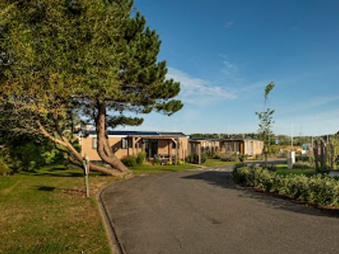 Verblijfpark Beachside - West-Vlaanderen - Afbeelding N°16