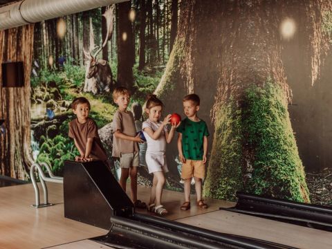 Summio Vakantiepark Schaijk - Landerd - Afbeelding N°13