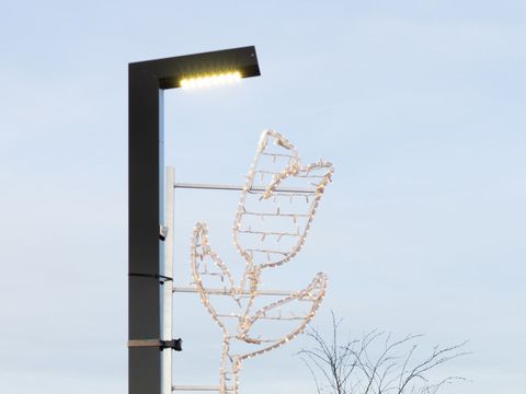 EuroParcs De Kraaijenbergse Plassen - Cuijk - Afbeelding N°11