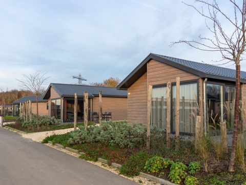 EuroParcs De Kraaijenbergse Plassen - Cuijk - Afbeelding N°8