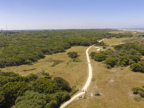 Landal Vakantiepark Bos en Duin - Veere - Afbeelding N°5