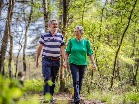 De Rimboe & Woeste Hoogte - Apeldoorn