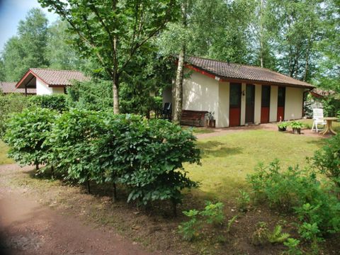 Ferienpark Grafschaft Bentheim - Nedersaksen - Afbeelding N°0