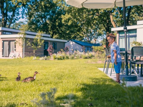 EuroParcs Kaatsheuvel - Loon op Zand - Afbeelding N°22