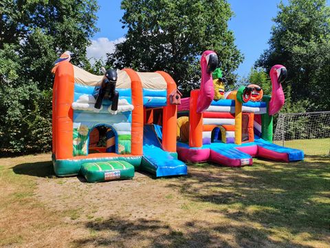 Camping de Vinkenkamp - Apeldoorn - Afbeelding N°8