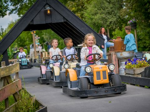 Familie Resort Molenwaard - Molenlanden - Afbeelding N°24