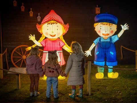 Familie Resort Molenwaard - Camping Molenlanden - Afbeelding N°4