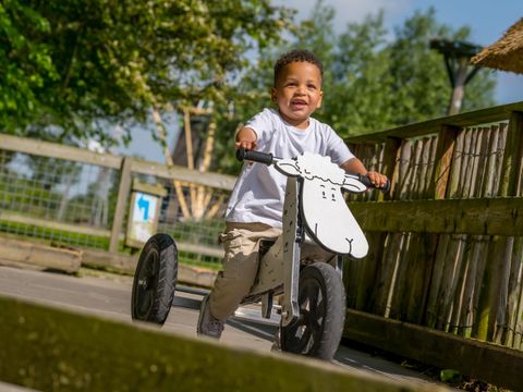 Familie Resort Molenwaard - Molenlanden - Afbeelding N°10